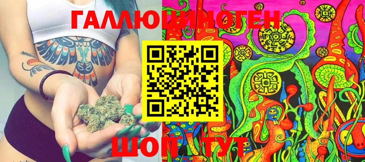 Россия  Псилоцибиновые грибы Psilocybe  Вход с VPN 